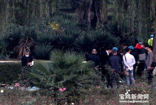 昭通陕西宝鸡夜跑女教师遇害案犯罪嫌疑人已被抓获